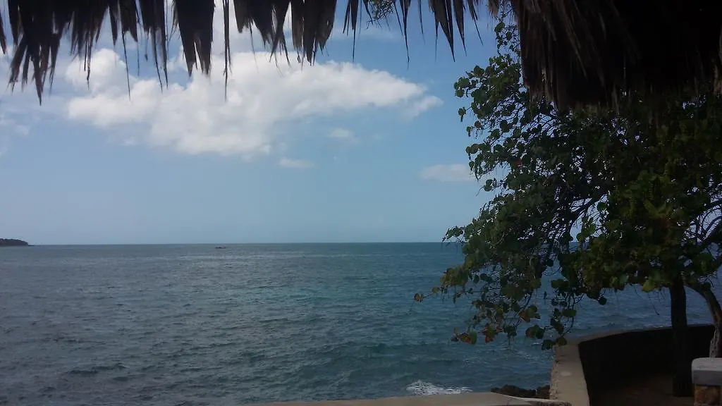 South Sea View, South Coast Hotel Black River 2*,